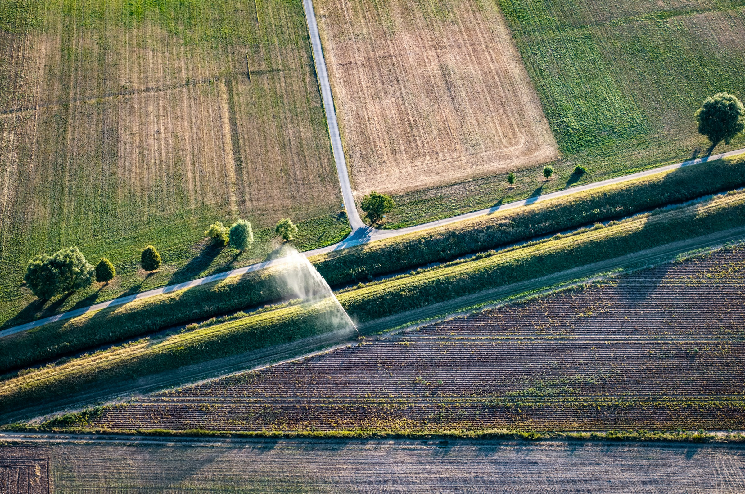 bernd-dittrich-Gz-3pPHOKzw-unsplash