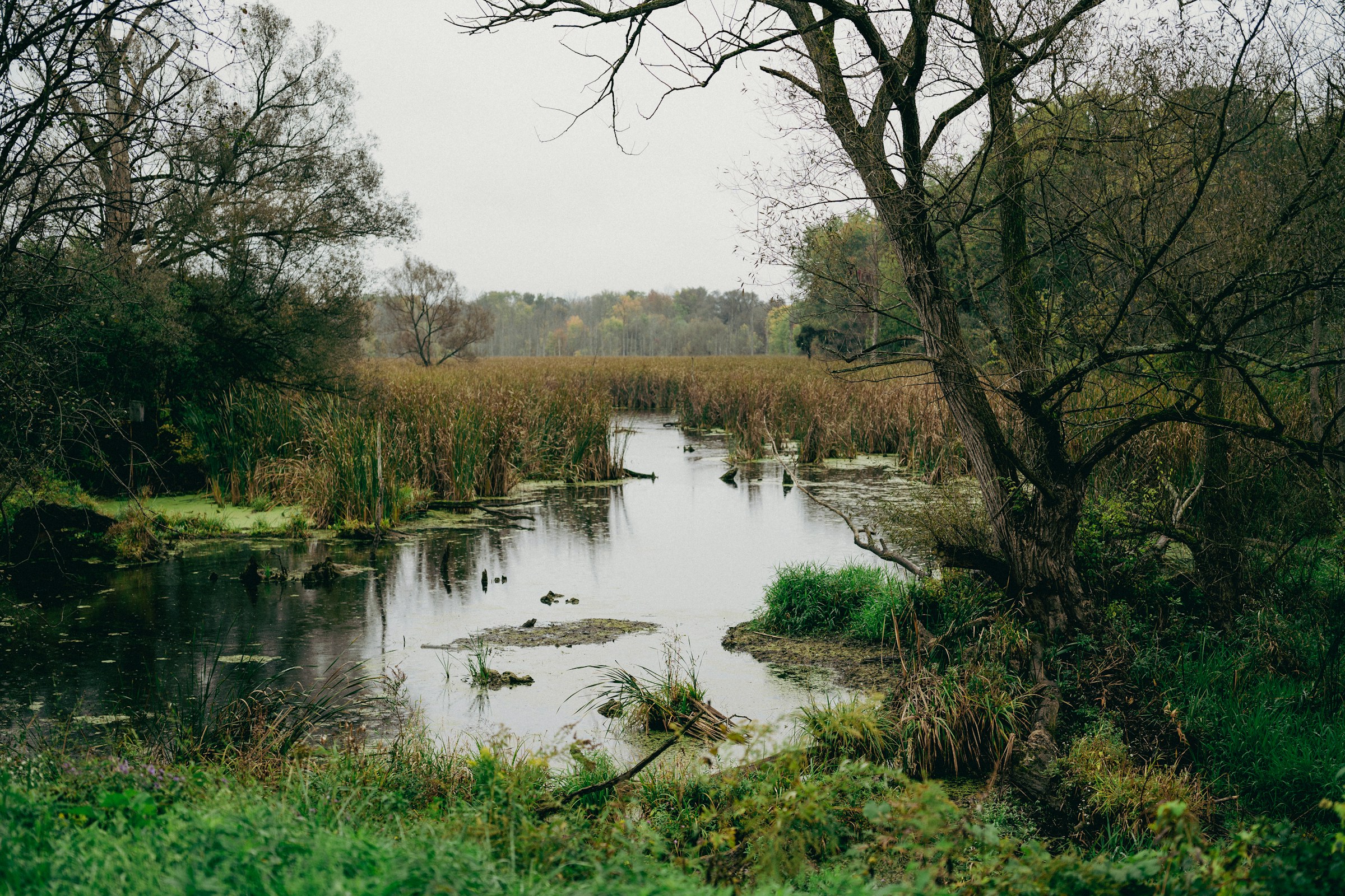 luke-hodde-i6ylSf1OhgY-unsplash